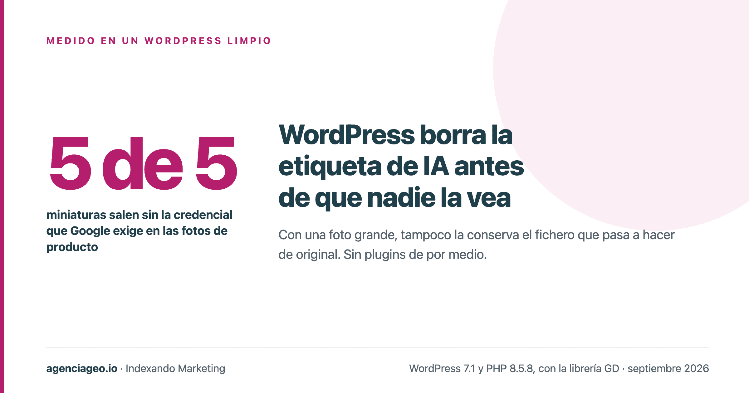 Google exige una etiqueta en tus fotos de producto y WordPress la borra antes de que nadie la vea
